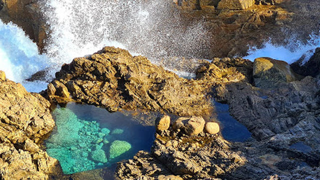 Blowhole & Baleen Rockpool