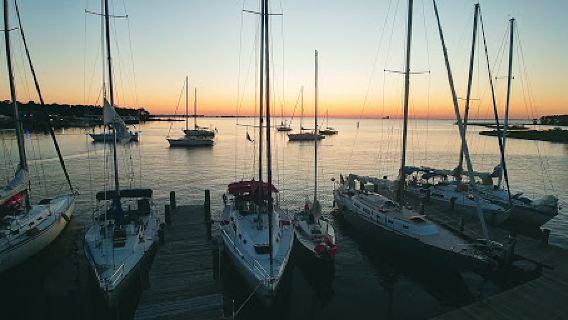 Alabama Deep Sea Fishing Rodeo Site