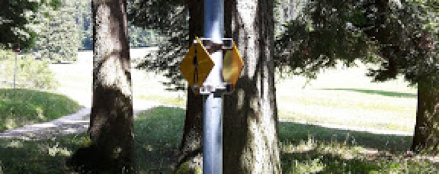 Forêt du Morcel