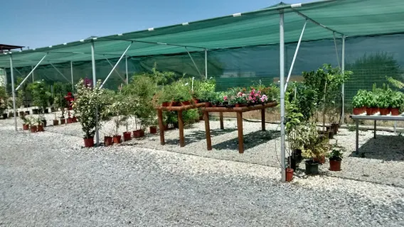 Mister Flower Garden Center