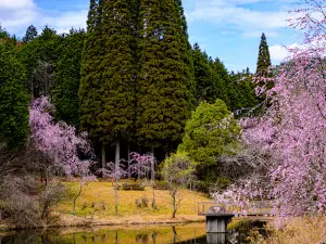 Kozan Sera village of Friendship