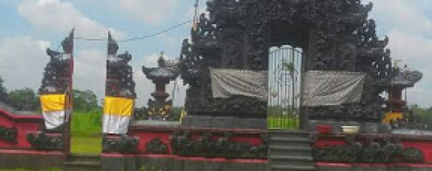 PURA DALOM