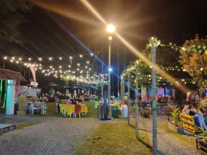 Carpa Delirio Salsa + Circo + Orquesta | Espectáculo de Salsa Formato Cabaret en Cali