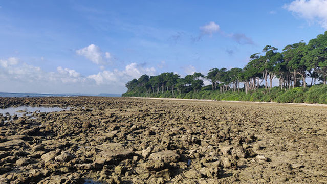 Lakshmanpur Beach No 2, Shaheed Dweep