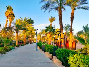 Pedestrian Rd Neama Bay