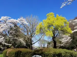 미도리가오카 공원