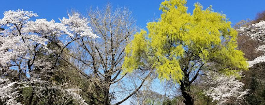 Midorigaoka Park