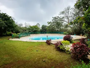 Garudmaachi