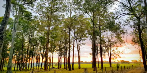 Sir James Mitchell National Park