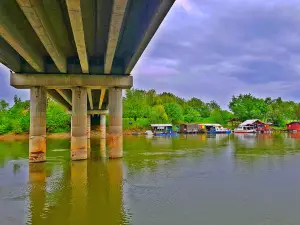 Timiș River