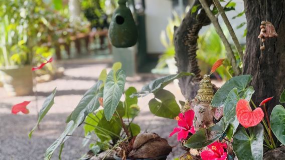 Wasala Ayurvedic Treatment Center - Sigiriya