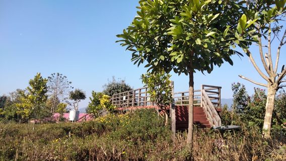 cang yuan yun hai guan jing tai