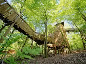 Parc Chlorophylle