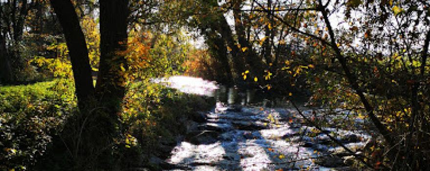 Katzelsdorfs Leithaau - Natura 2000