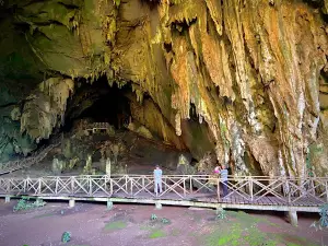 Cave of the Owls