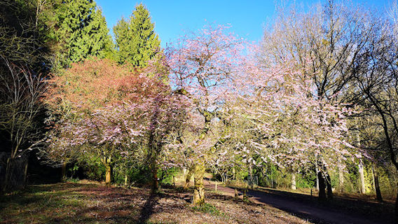 Queenswood Country Park The Gruffalo Trail