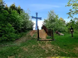 Kobyla Góra 284 m n.p.m. - wielkopolska