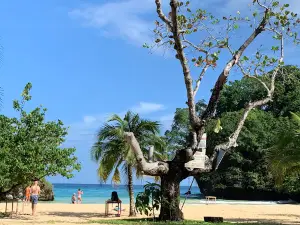 Frenchman's Cove beach