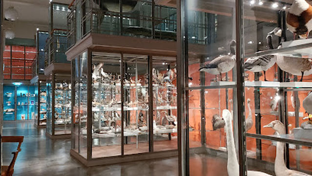 Evolution Museum of Paleontology