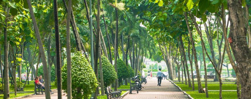 Nguyen Thi Bay Park
