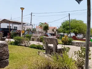 Valentine Garden