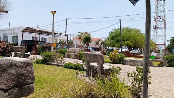 Valentine Garden