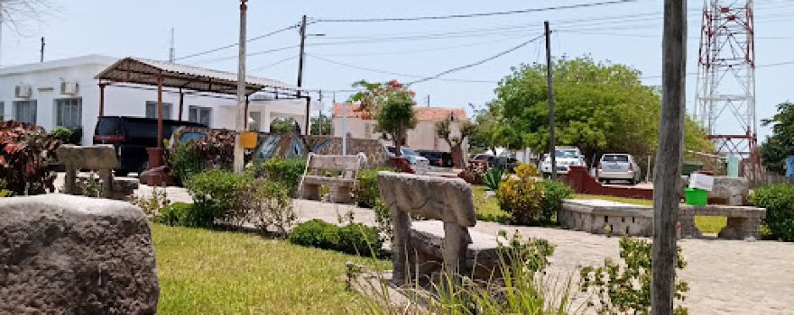 Valentine Garden