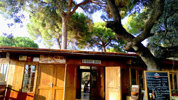 Bosque Suspendido - Parque de Aventuras en los Árboles