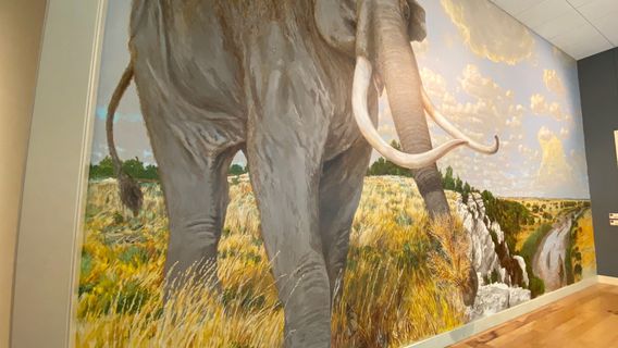 Mayborn Museum Complex