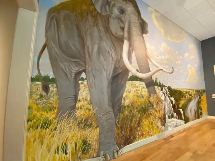 Hotels in der Nähe von Mayborn Museum Complex