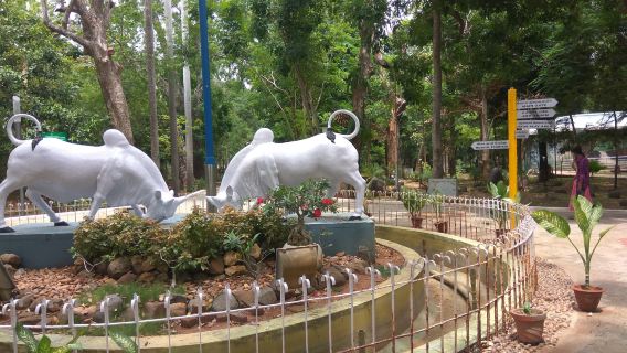 Botanical Garden