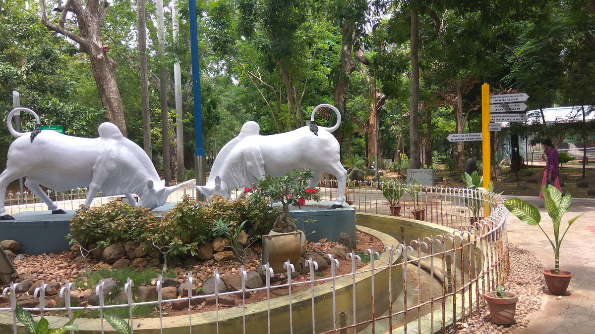 Botanical Garden