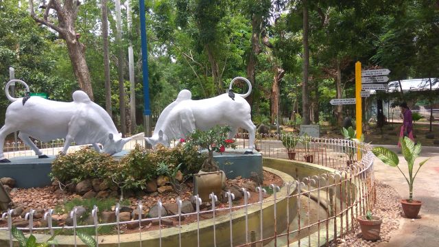Botanical Garden