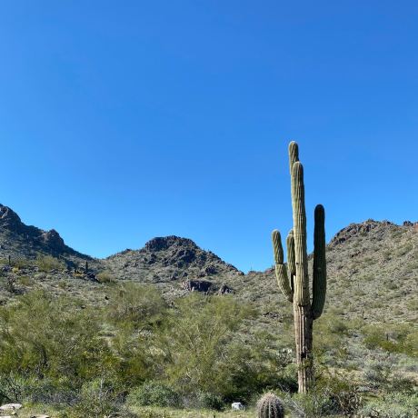 Phoenix Mountains Preserve