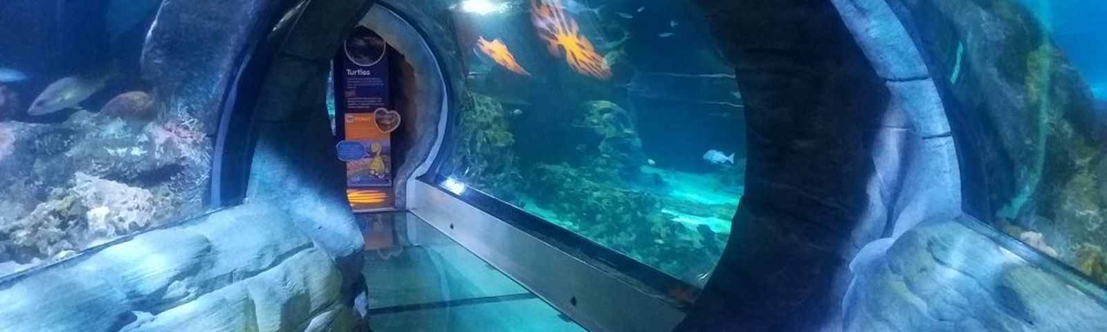 TempeTour Trong Ngày