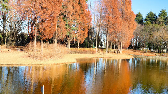 Sainomori Iruma Park