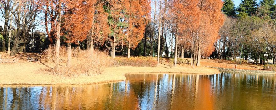 Sainomori Iruma Park