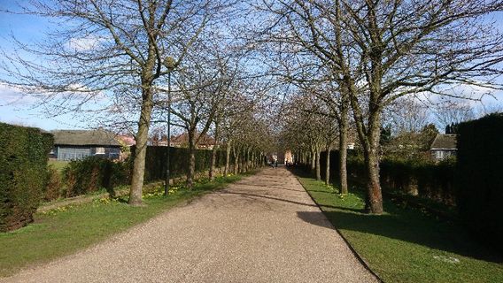 Парк Ватерлоо