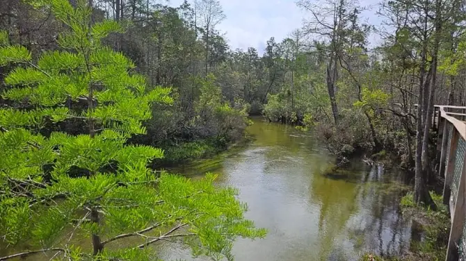 3_Turkey Creek Nature Trail