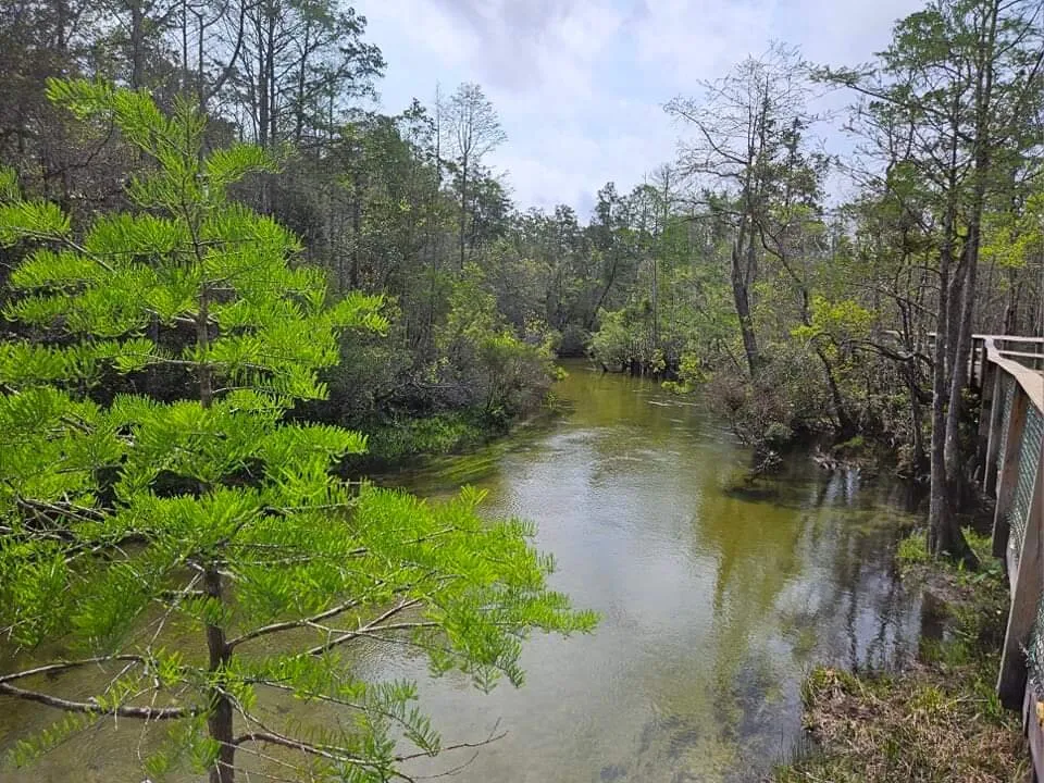 3_Turkey Creek Nature Trail
