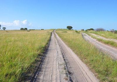 Maputo Elephant Reserve （Reserva Especial de Maputo）