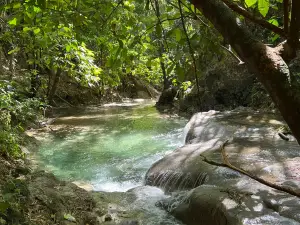 Mayfield Falls & Mineral Springs (Original)