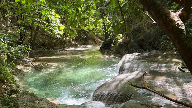 Mayfield Falls & Mineral Springs (Original)