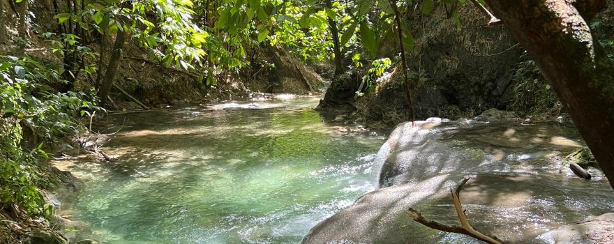Mayfield Falls & Mineral Springs (Original)