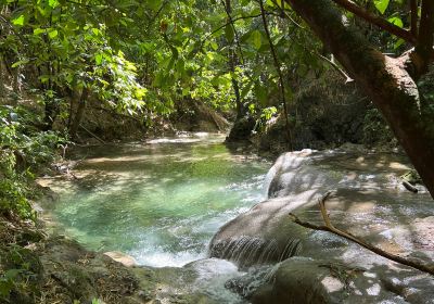 Mayfield Falls & Mineral Springs (Original)