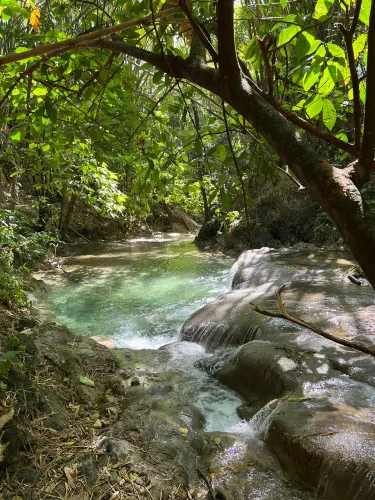 Mayfield Falls & Mineral Springs (Original)