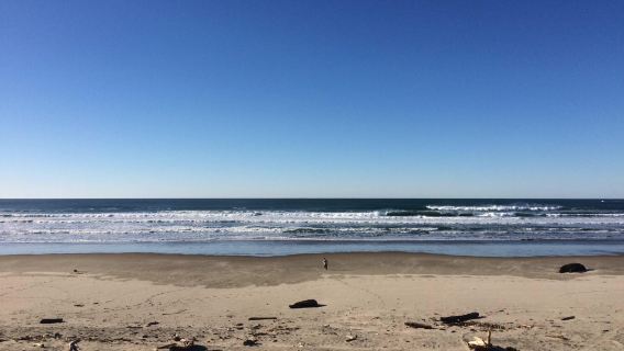 South Beach State Park
