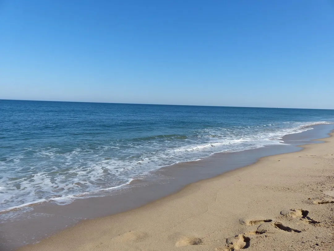 5_Коската-Котью Уайлдлайф Рефьюдж Гейтхаус