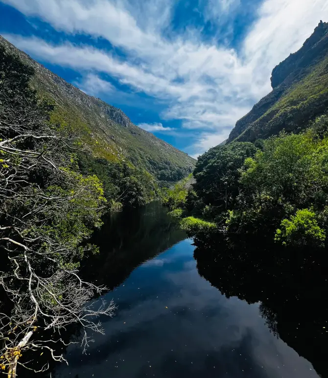 Betty's Bay