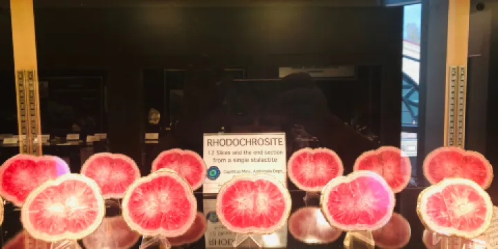 Colorado School of Mines Geology Museum